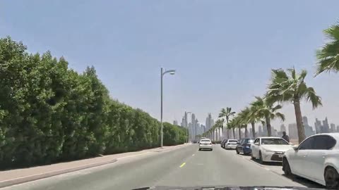Floral Drive: Exploring Dubai's Blossoming Gardens and Flower-Filled Routes