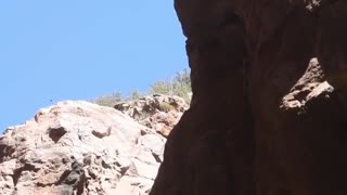 Girl does dangerous dive into slot canyon