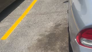 Car Parked Way Too Close