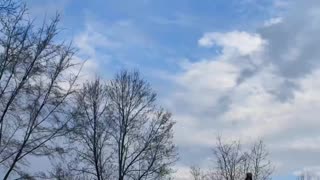 Snow Clouds and Nervous Trees time lapse