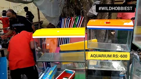 How to buy Aquarium tank in market || BIGGEST AQUARIUM FISH MARKET IN WORLD