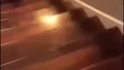 Watch the dog go flying down the stairs!!