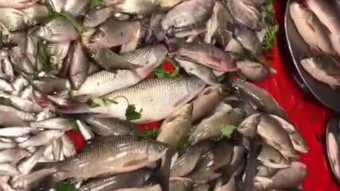 Amazing fish market | River fish | seafood | fish| Fishing