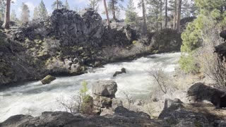 Truly Incredible Volcanic River Wonderland – Dillon Falls – Deschutes River Trail – 4K