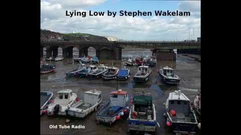 Lying Low by Stephen Wakelam