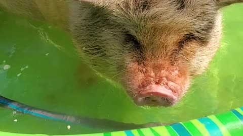 Lil man having snacks in the pool