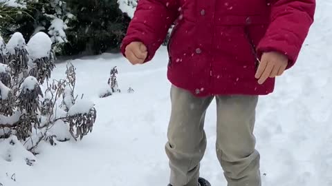 cute puppies are playing with child and enjoying snow fall.