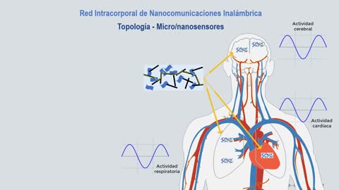 Explicación de los códigos MAC que emiten los vacunados por la nanored intracorporal