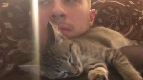 Kitten jumps up in surprise at hearing cat sounds