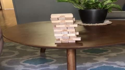 Clever Dog Plays Jenga with His Owner
