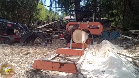 sawmilling more logs today
