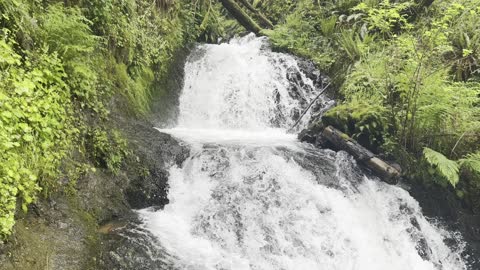 Shepperd's Dell Waterfall – Columbia River Gorge National Scenic Area – Oregon – 4K