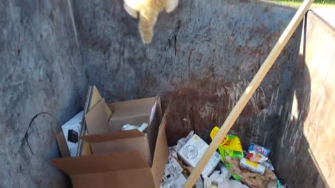 Rare Albino Raccoon Dumpster Diving in Florida
