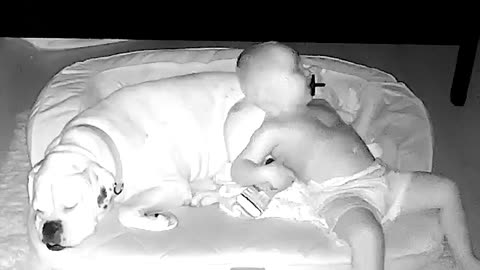 Toddler Crawls Out Of Bed To Sleep With Best Friend