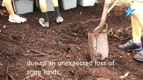 School composting program