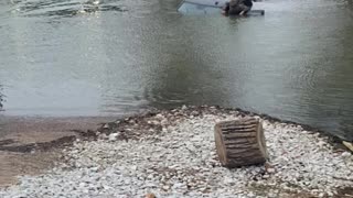 Boat Ramp Fail Submerges Truck