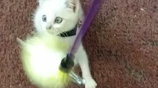 Silver vs Feather stick