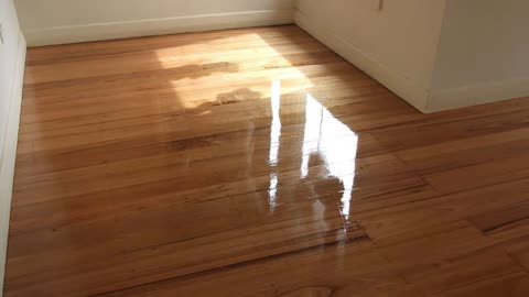 Wood Floor Refinishing