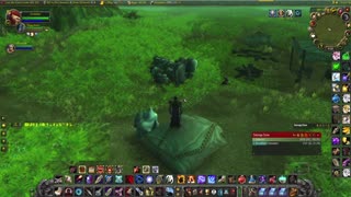 World of Warcraft Classic Hunter and Paladin Running around the oasis of the crater