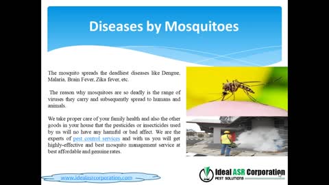 Best mosquito control Service in Indore – Idealasr