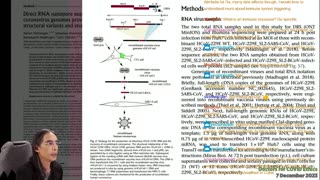 (2023-12-07) Doctors for COVID Ethics (replay) --(7 Dec 2023)-- Brief [Twitch:1998175747]