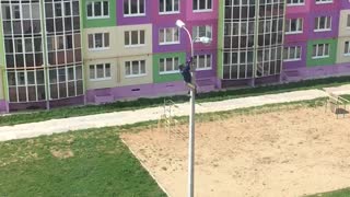 Person Rescues Bird Caught in Light Pole