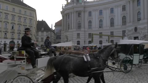 Traditional horse and carriage leading into Michaelerplatz, Vienna, Austria, Europe