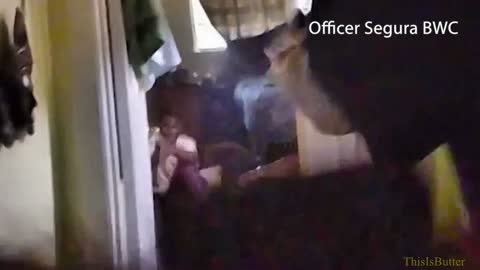 Body cam video released of 'erratic' man shot by police after he attacked couple in their home