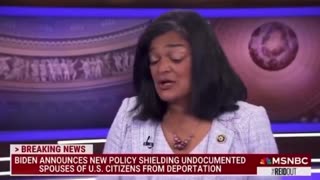 MSNBC Host LAUGHS At "Fearmongering" Over Illegal Immigrants After Assault Of 13-Year-Old