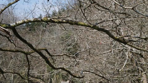 A Burrator Reservoir Dartmoor Devon Walk with Jamie 2019