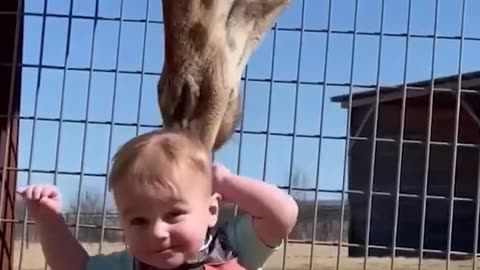 Giraffe with the little child