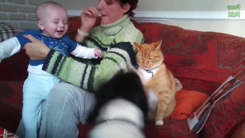 Funny Babies Laughing Hysterically at Cats Compilation