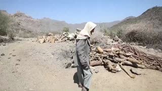 Comer hojas hervidas para sobrevivir en un Yemen que se muere de hambre