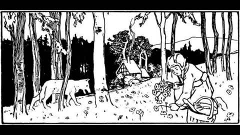 Grimms' Fairy Tales | 22. Little Red-Cap [Little Red Riding Hood] | Audiobook