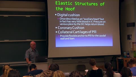 Intro to Equine Anatomy at UC Davis Horse Production Class by Kirk Adkins MS CJF, Sept.'13 Part 6