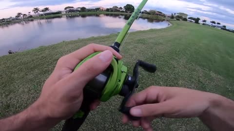 Fishing for POND Monsters in Florida (Surprise Catch)