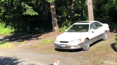 Doug and his first drone sighting.