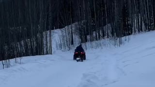 Sliding Through Winter With Friends