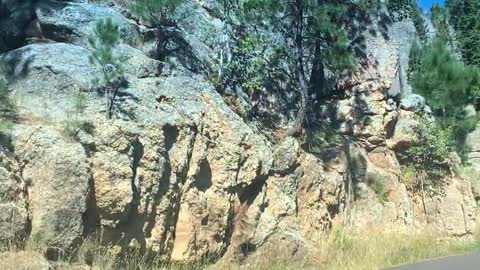 This is America! Needles Highway, Custer State Park South Dakota #2