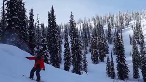 Red jacket frontflip wipeout