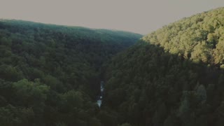 Drone captured stunning footage of dense forest