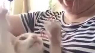 When cat likes woman’s hair