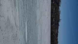 Ducks on the frozen River