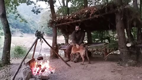 Build Shelter, 3 Days Solo Camp, Wild Camping, Primitive Technology, Survival Skills