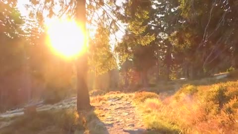 Golden Path (Official Music Video) By Edwin Morris