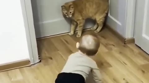 Baby Vs Cats