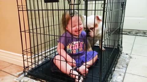 Funny dogs video and child baby