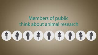 Dispelling myths around animal research
