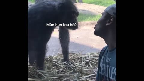 What's Fun to Go to the Zoo? Watch this!