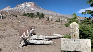 Oregon – Mount Hood – Spectacular Views from the Trailhead